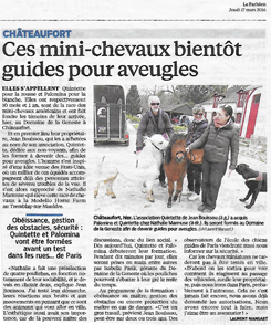 Ces mini-chevaux bientôt guides pour aveugles