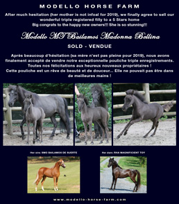 pouliche miniature 2018 à vendre