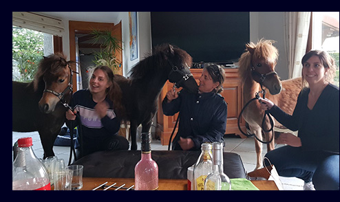 3 de nos merveilleuses pouliches dans leur famille