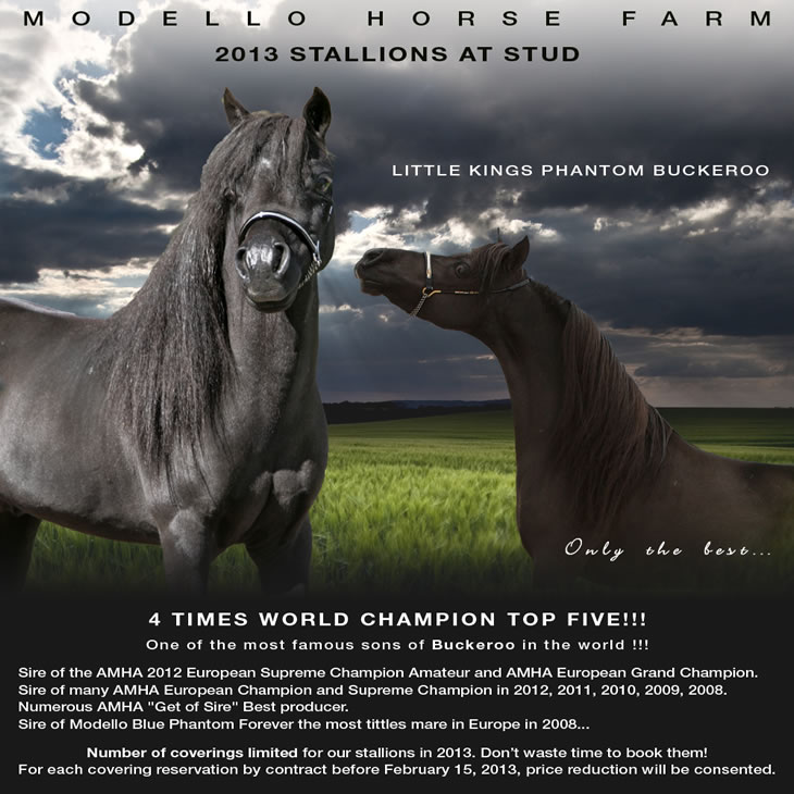 Miniature stallions at stud, Phantom