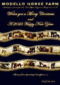 Modello Horse Farm wishes you a Merry Christmas And a 2023 Happy New Year