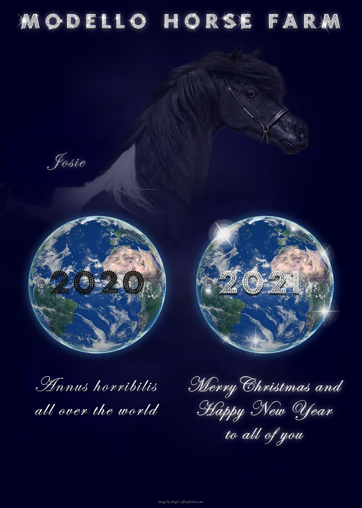 Modello Horse Farm vous souhaite un joyeux Noël et une année 2021 heureuse