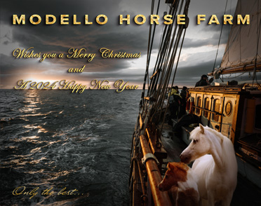 Modello Horse Farm wishes you a Merry Christmas And a 2024 Happy New Year