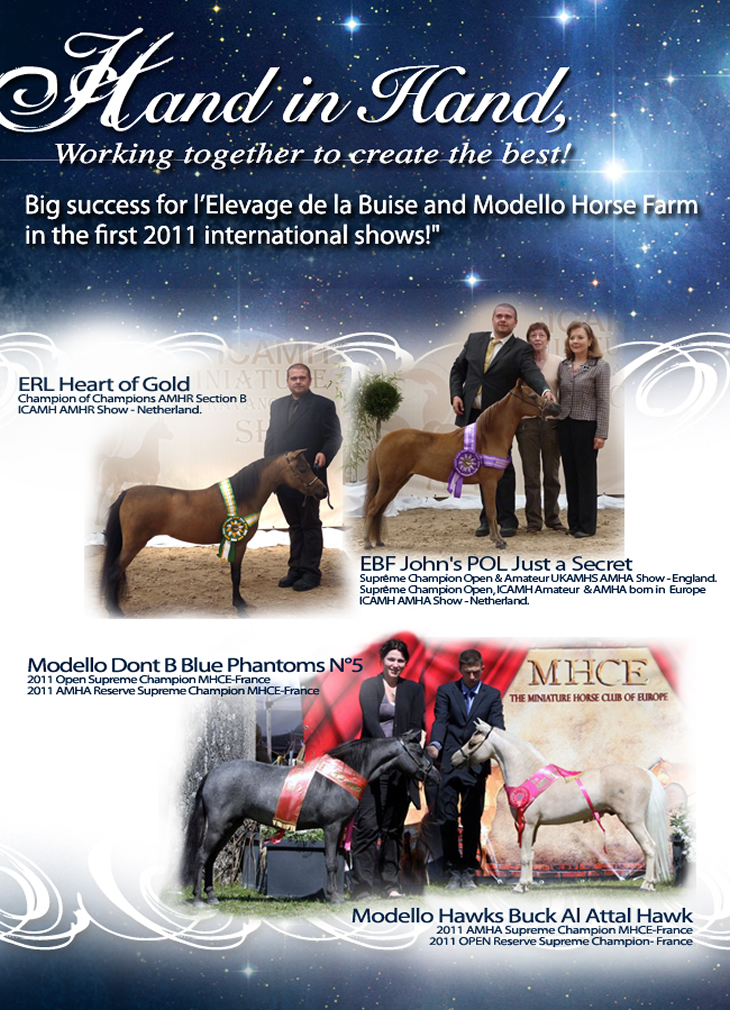 Modello Horse Farm & Elevage de la Buise working together to create the best!