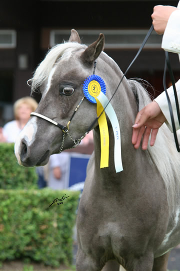 Charisma at the 2009 Deauville international show