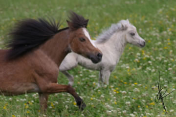 De Ja Blue et sa fille Phantom Forever