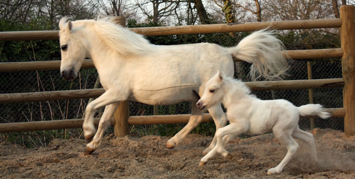 Rainmaker et sa fille True Romance