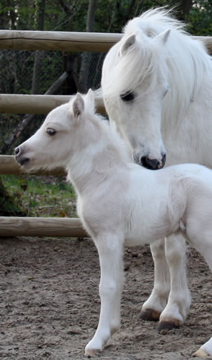 Rainmaker et True Romance