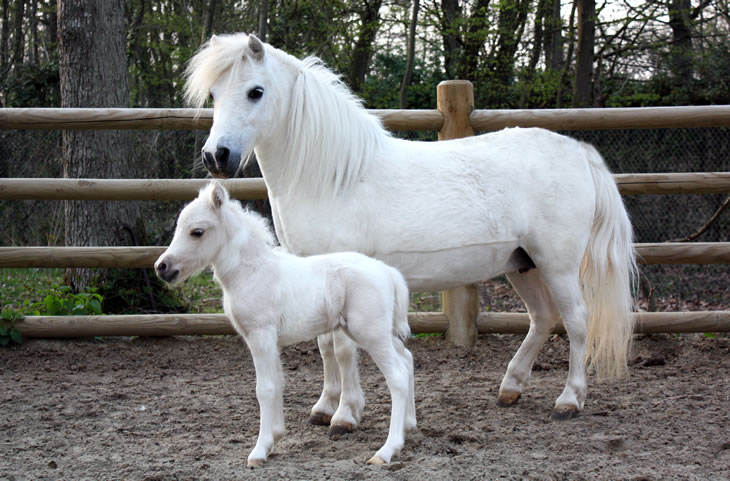 Rainmaker et sa fille True Romance