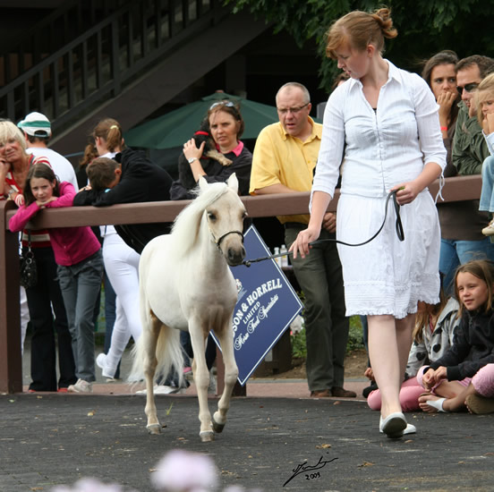 Al Attal au concours de Deauville