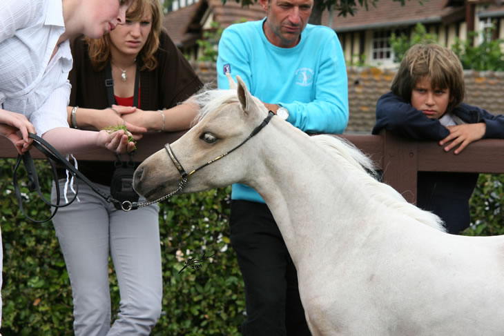 Al Attal au concours de Deauville
