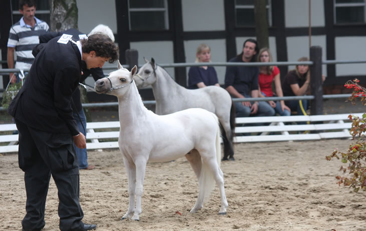 Al Attal au concours de Deauville