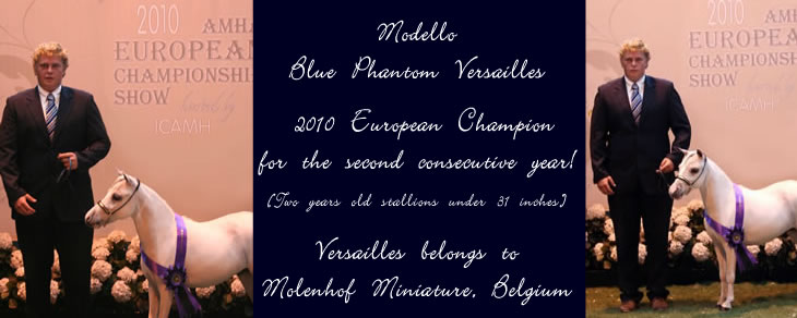 Modello Blue Phantom Versailles